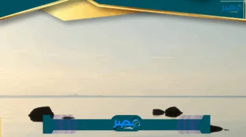 صاحب صيدليات 19011 يوجه نداءً للرئيس السيسي بعد عودة التشغيل